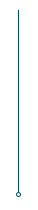 linia 1px